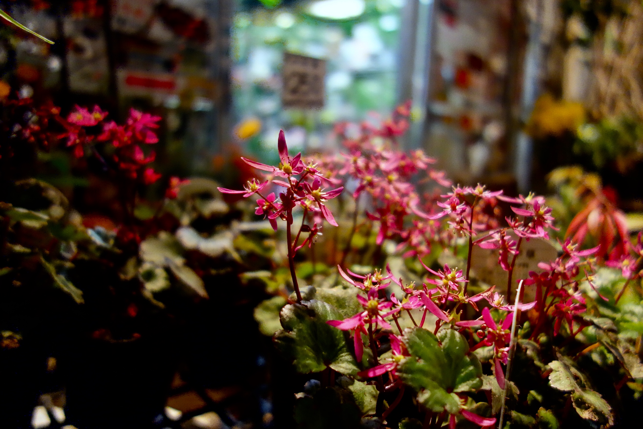 E252BC76-3B75-4625-98E4-572390B1CA6F