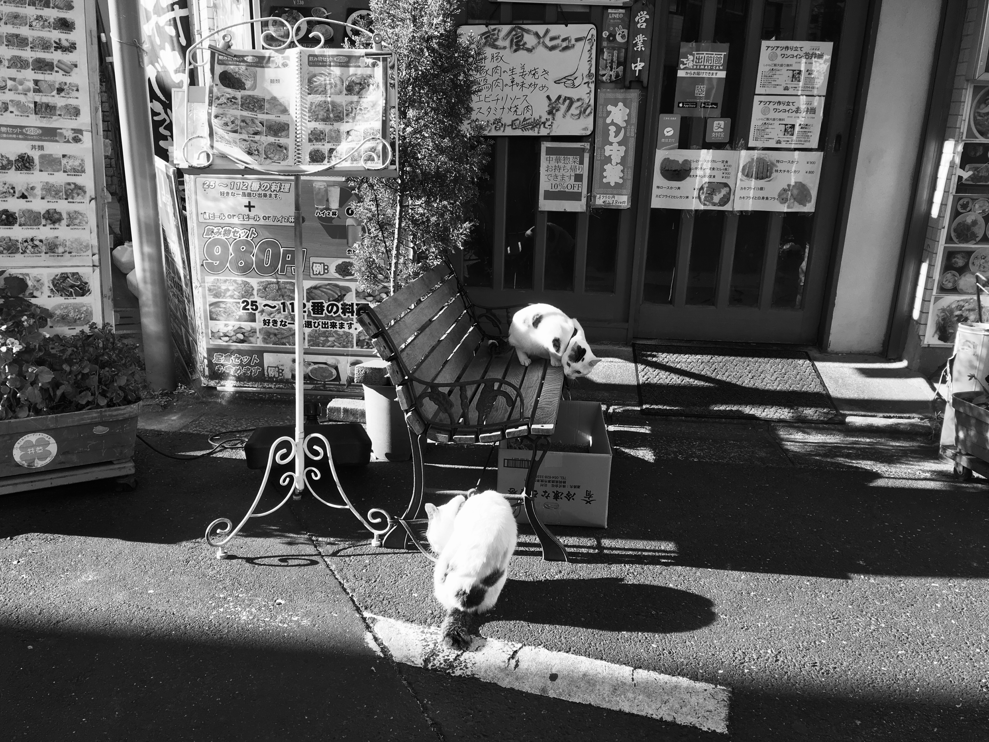 b51d3692-5f10-4058-80fe-0718489835c9