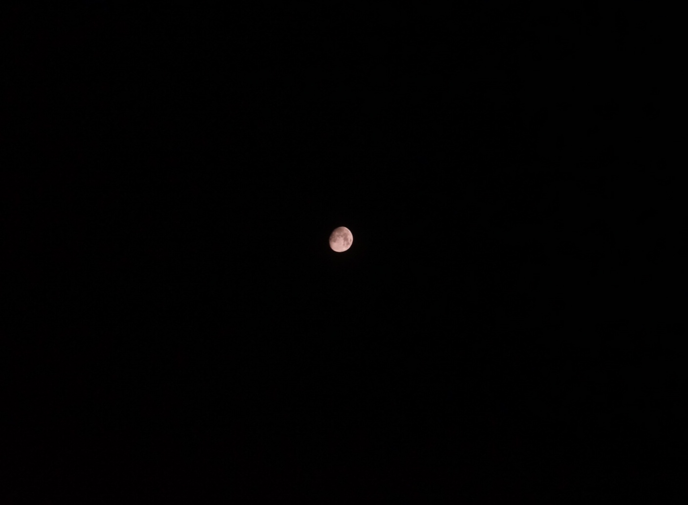 2C38C340-EA8C-4BDF-A238-7E7C19C0A80E