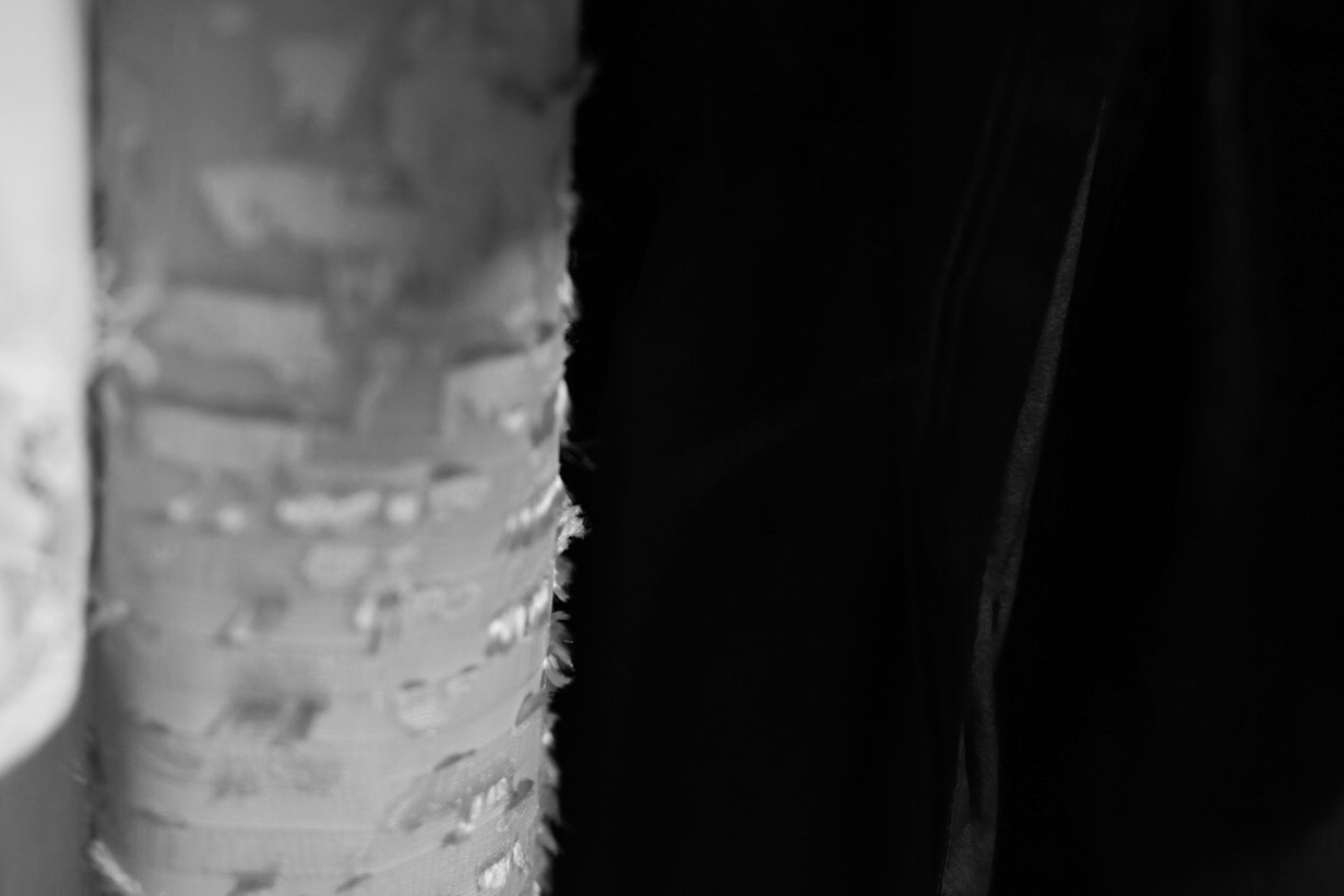 35A51C1E-36DD-4BA0-8EEC-E0EA0904BABA