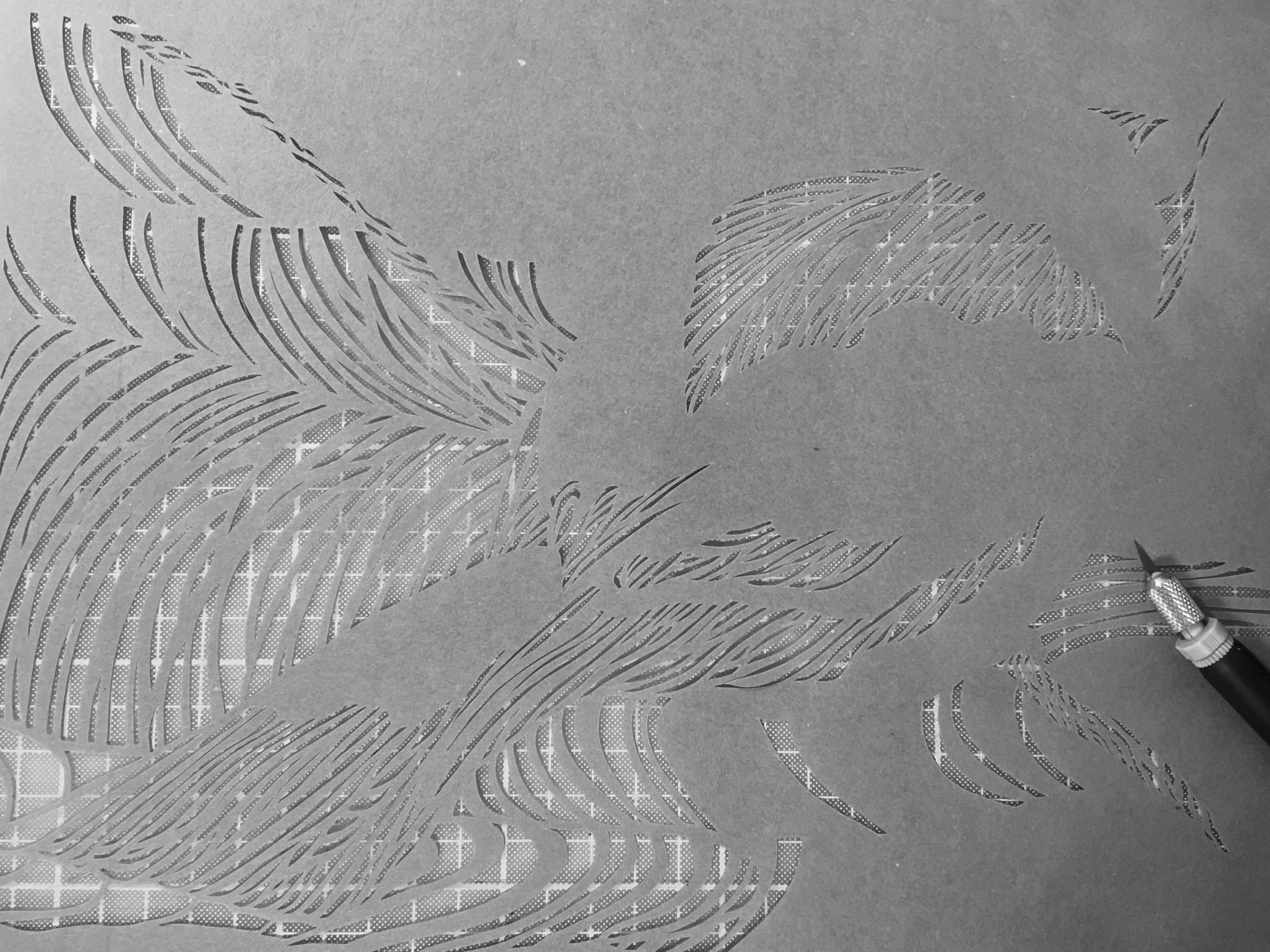 00F2B92F-97AD-4197-BCFF-028FE047E25E