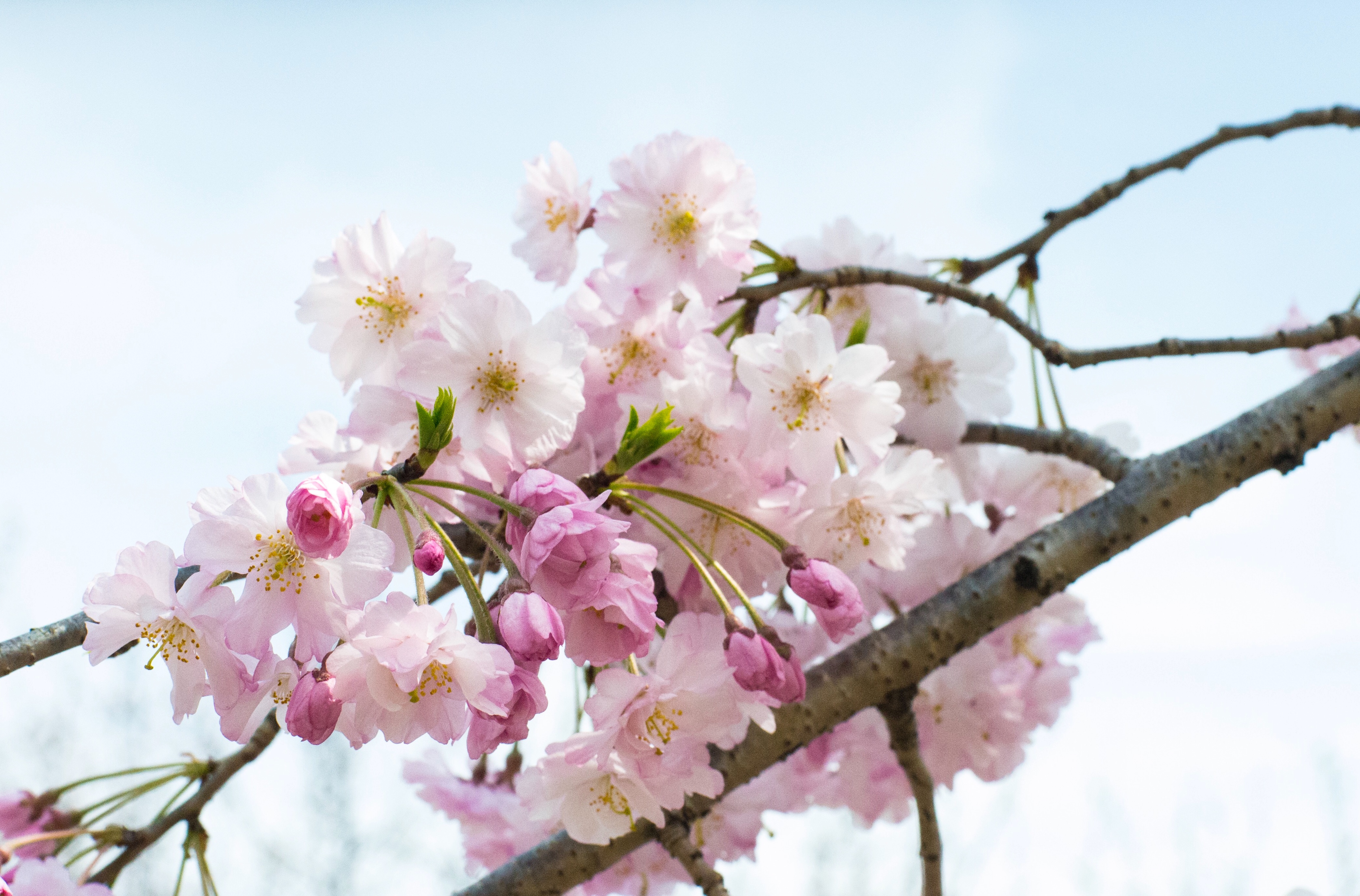 1502FC14-1548-4AE1-A4C0-3984F66E9201