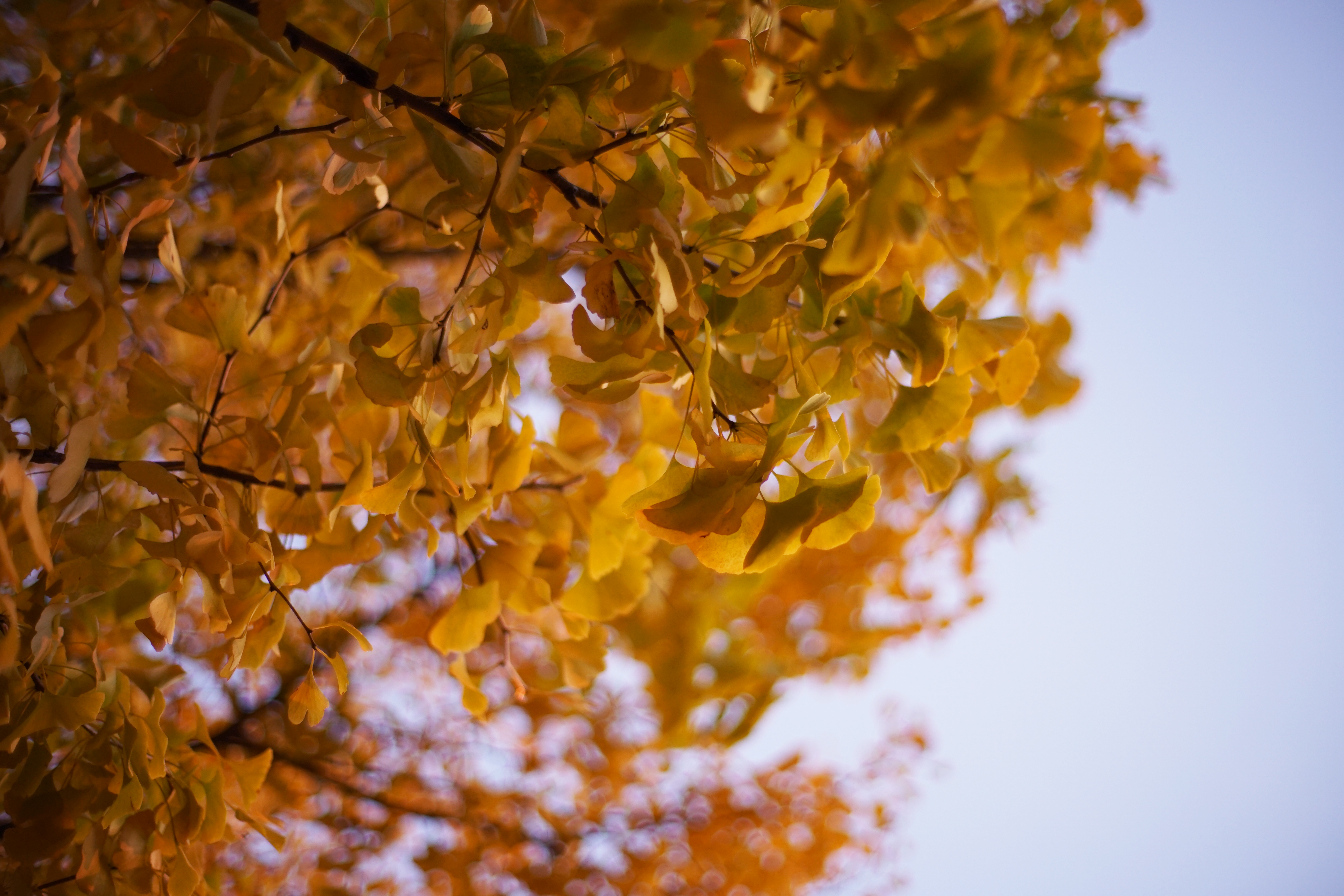 D974140F-FA71-4DF4-926E-3F7485B97E1D